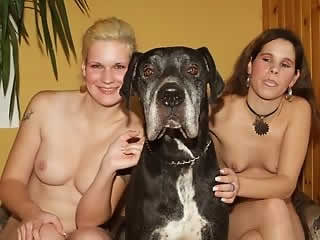Two hot girls fucks with a dog