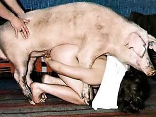 girl likes big pig cock