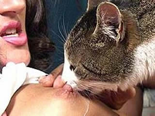 Cat licking sexy girls hot cunt