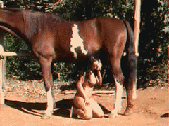 Venezuelan girl fucks a stallion in the stable