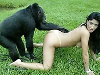 Open air sex with monkey