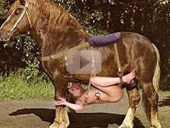 how to have sex with a horse?