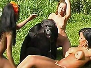 monkey fuck two horny bitches