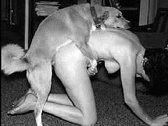 family sex with dog