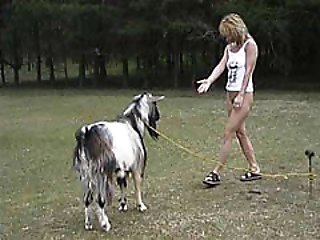 Lisa play with goat cock